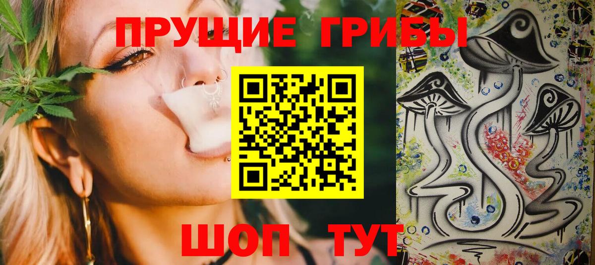 Псилоцибиновые грибы Psilocybine cubensis Карпинск
